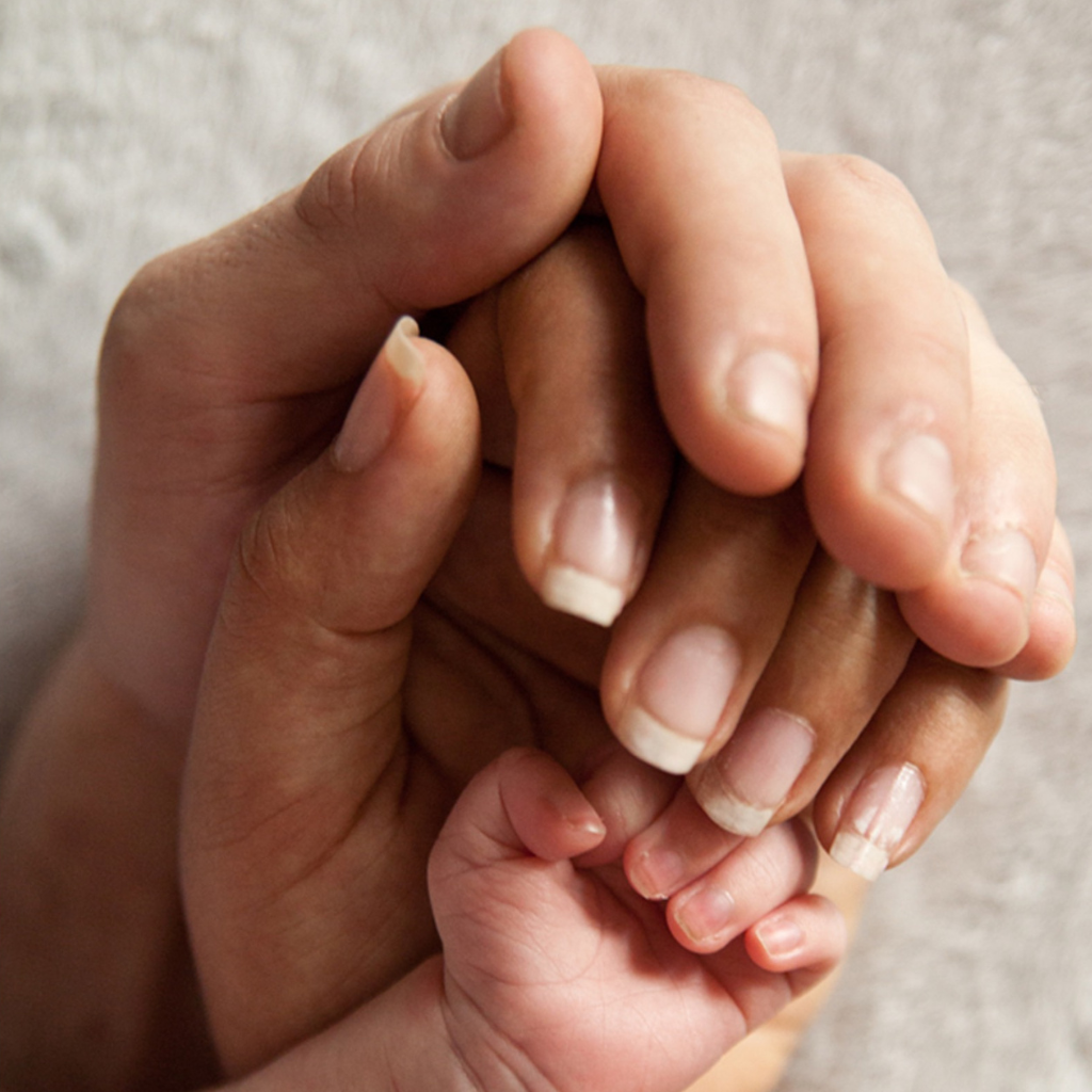 Newborn Photography Session with baby hands cuddled in Mum and Dad's hands